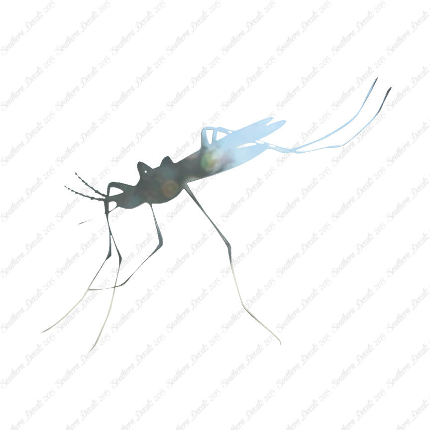 Mosquito Hawk Insect