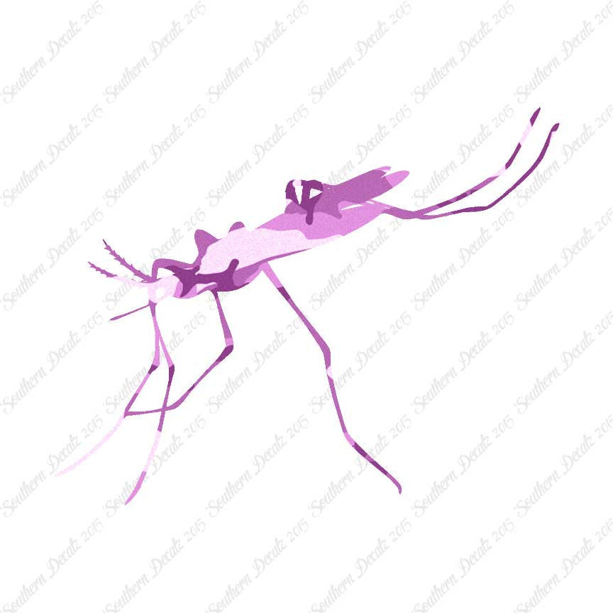 Mosquito Hawk Insect
