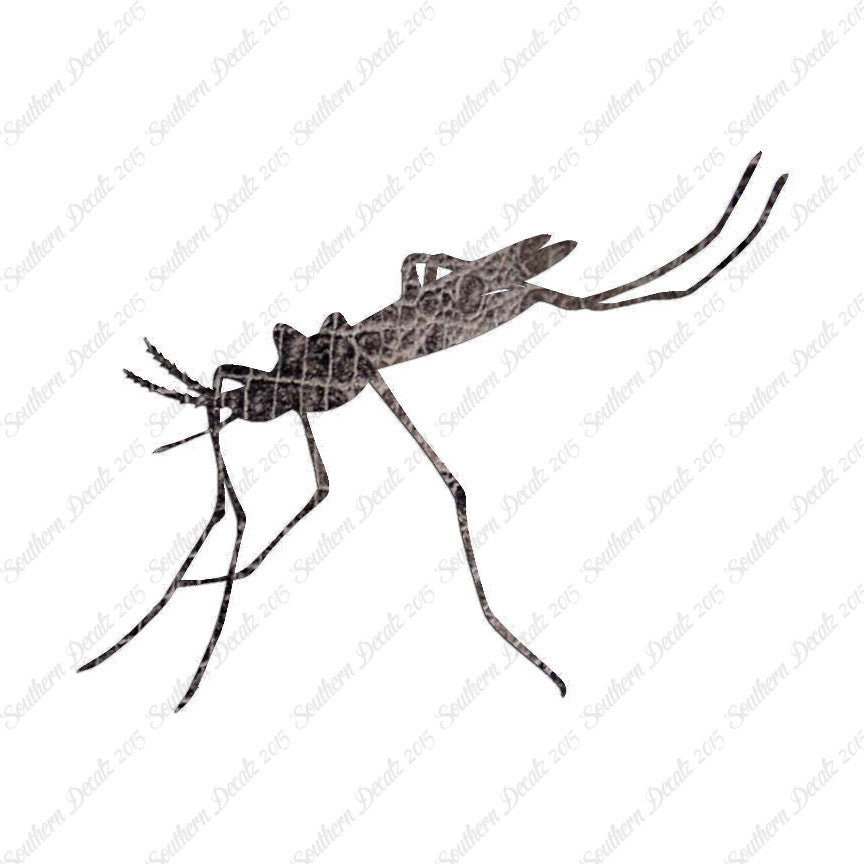 Mosquito Hawk Insect
