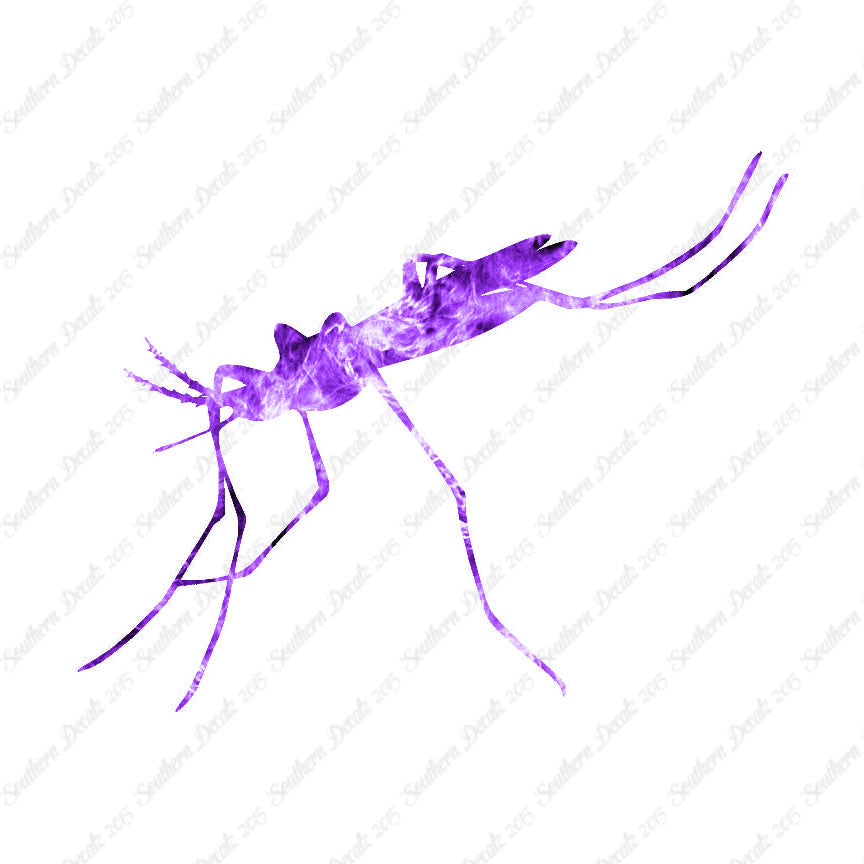 Mosquito Hawk Insect