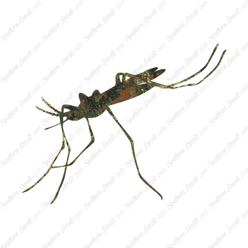 Mosquito Hawk Insect