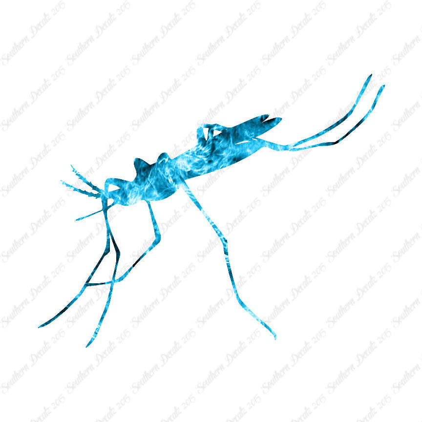 Mosquito Hawk Insect