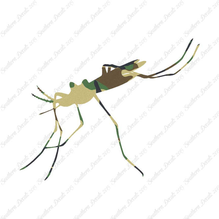Mosquito Hawk Insect