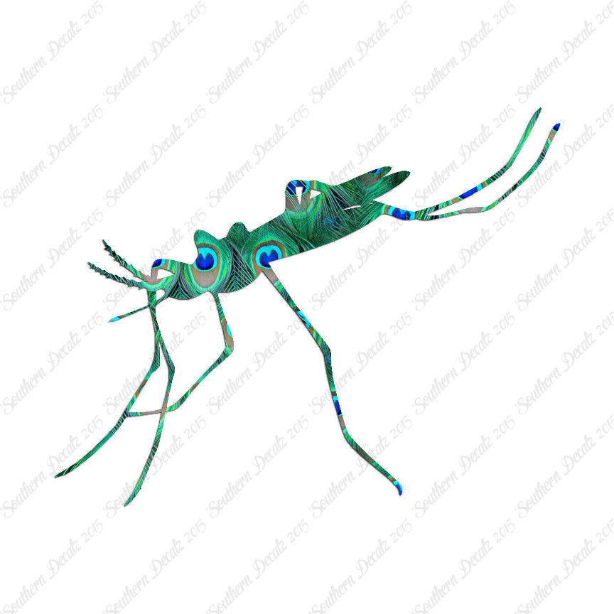 Mosquito Hawk Insect