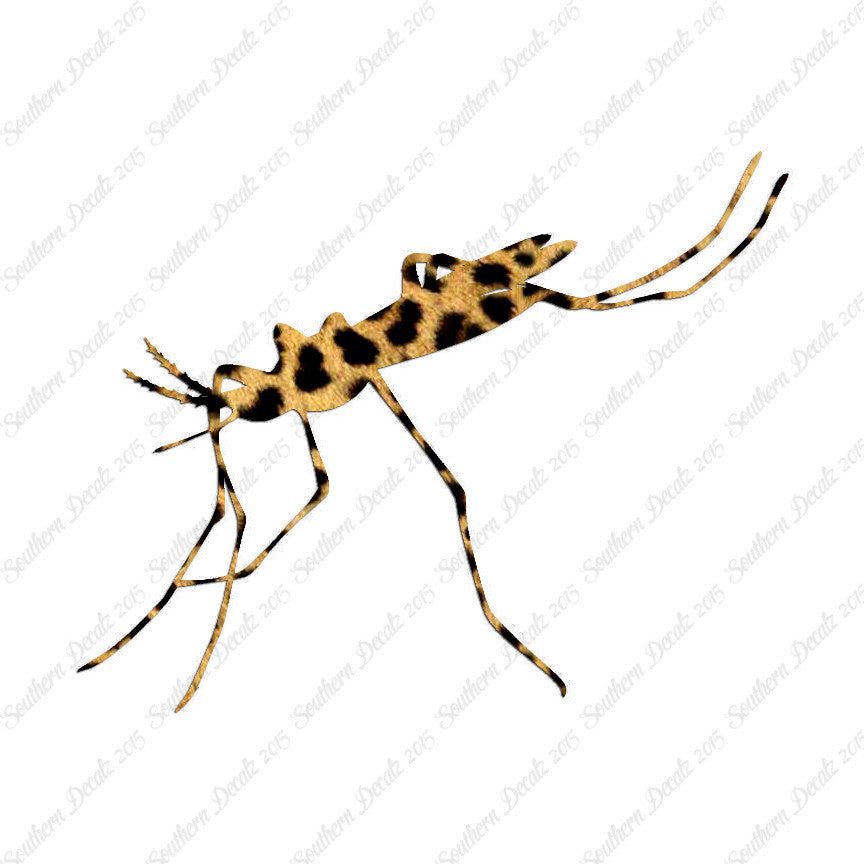 Mosquito Hawk Insect