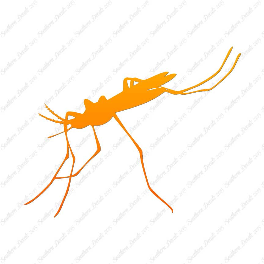 Mosquito Hawk Insect