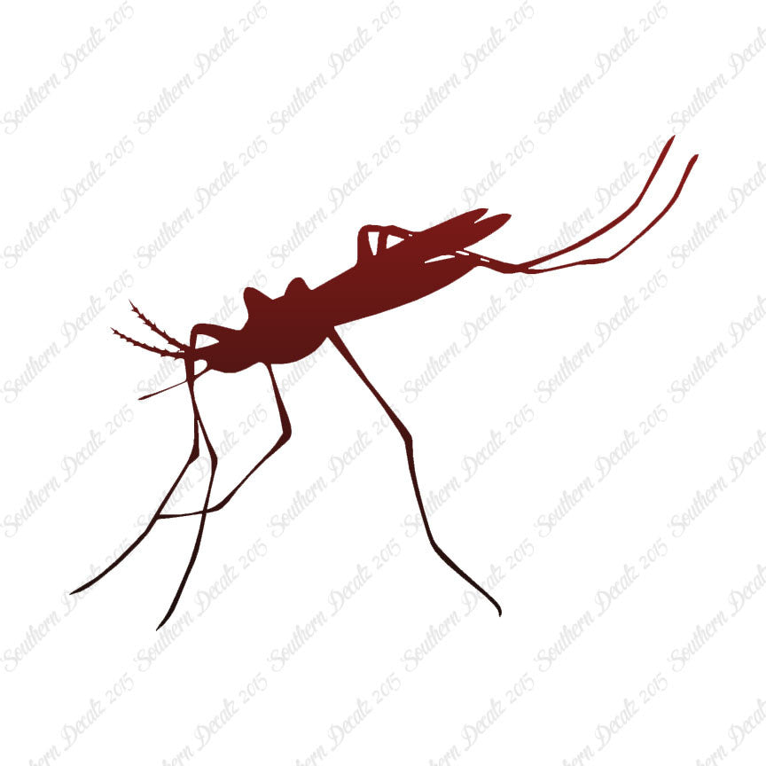 Mosquito Hawk Insect
