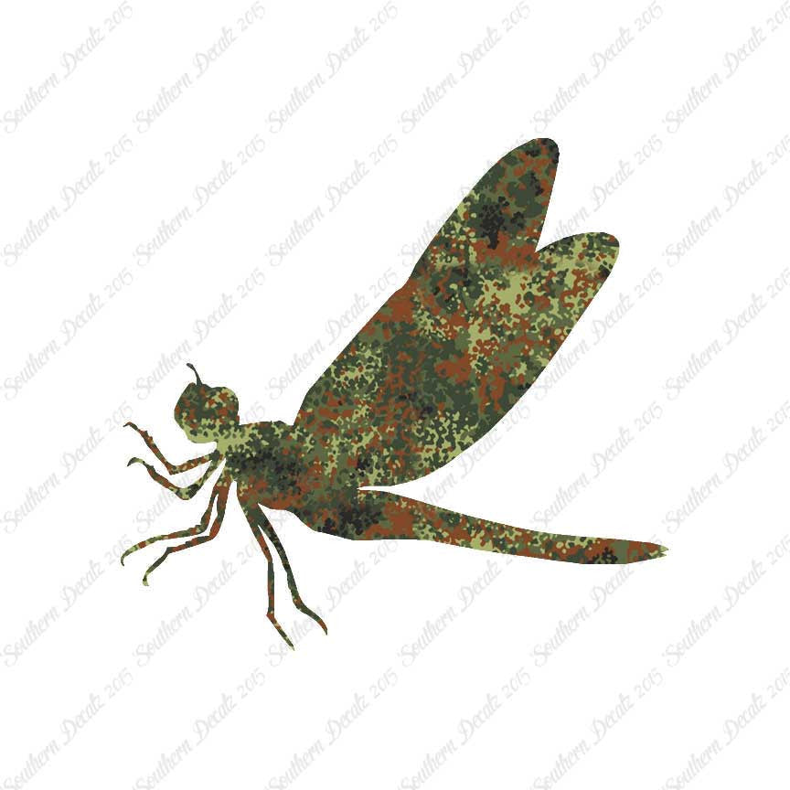 Dragonfly Damselfly