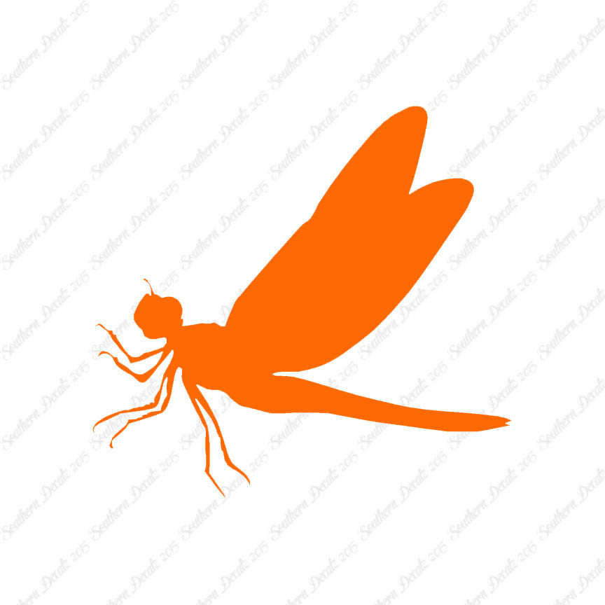 Dragonfly Damselfly