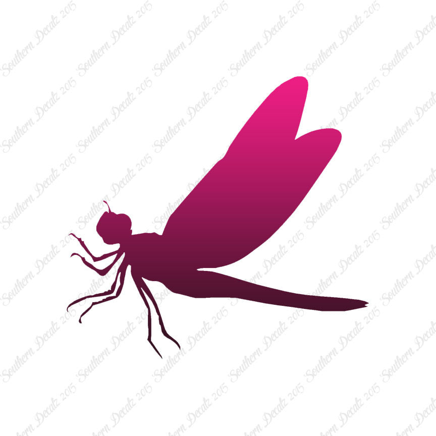 Dragonfly Damselfly