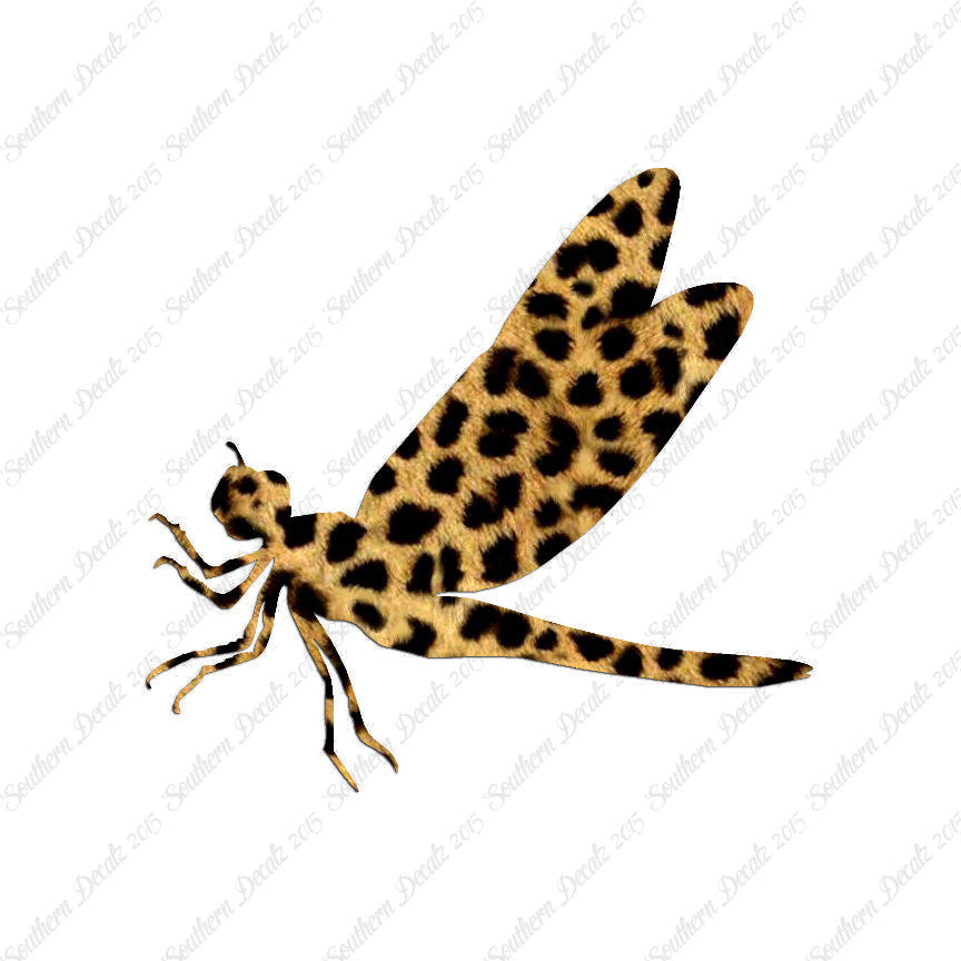 Dragonfly Damselfly