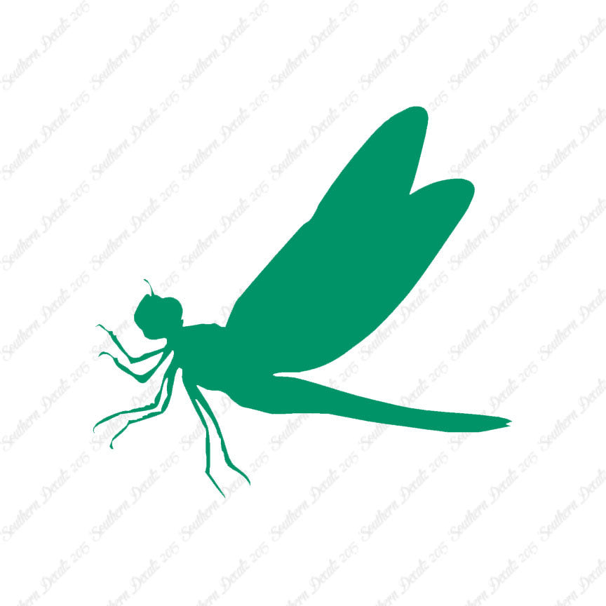 Dragonfly Damselfly