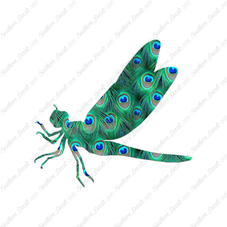 Dragonfly Damselfly