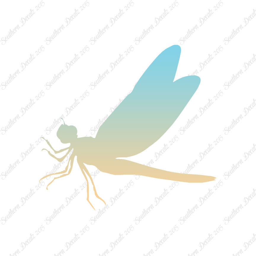 Dragonfly Damselfly