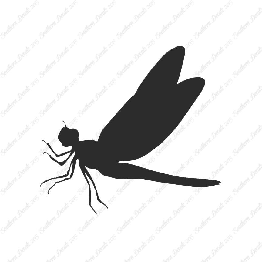 Dragonfly Damselfly