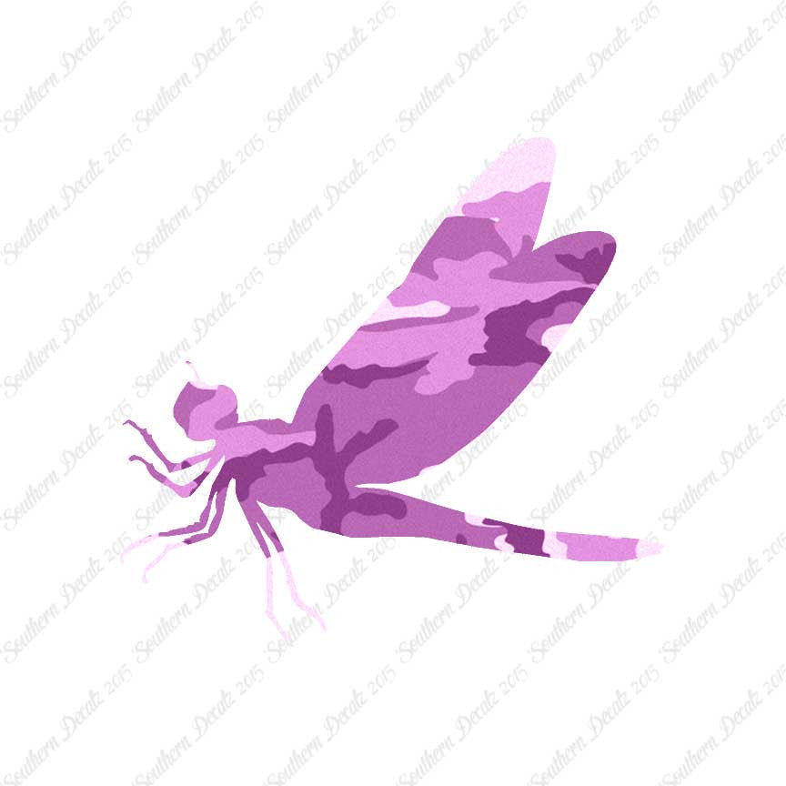 Dragonfly Damselfly