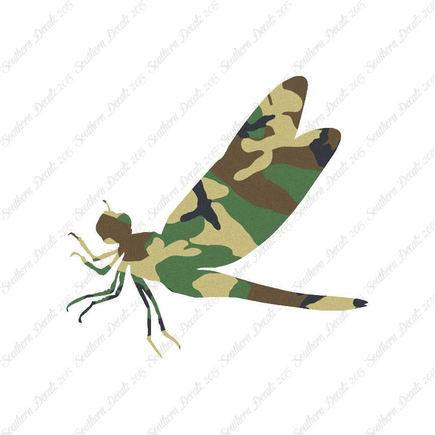 Dragonfly Damselfly