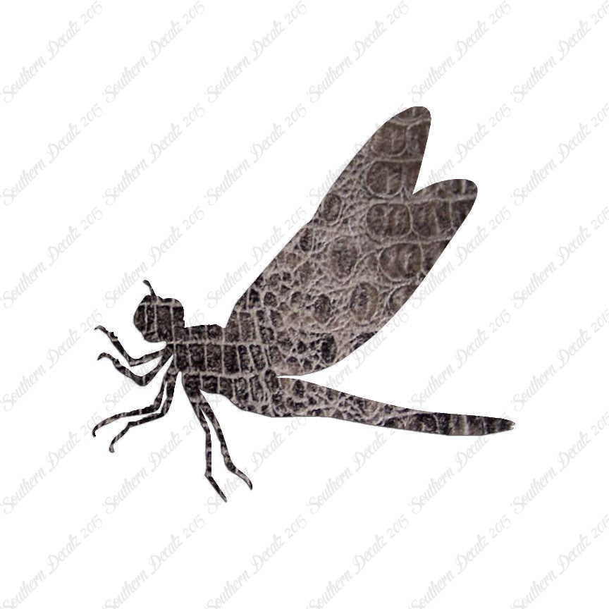 Dragonfly Damselfly
