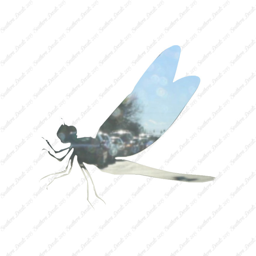 Dragonfly Damselfly