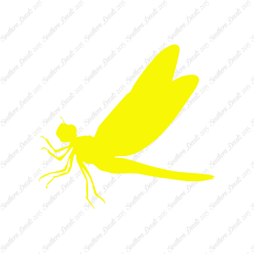 Dragonfly Damselfly
