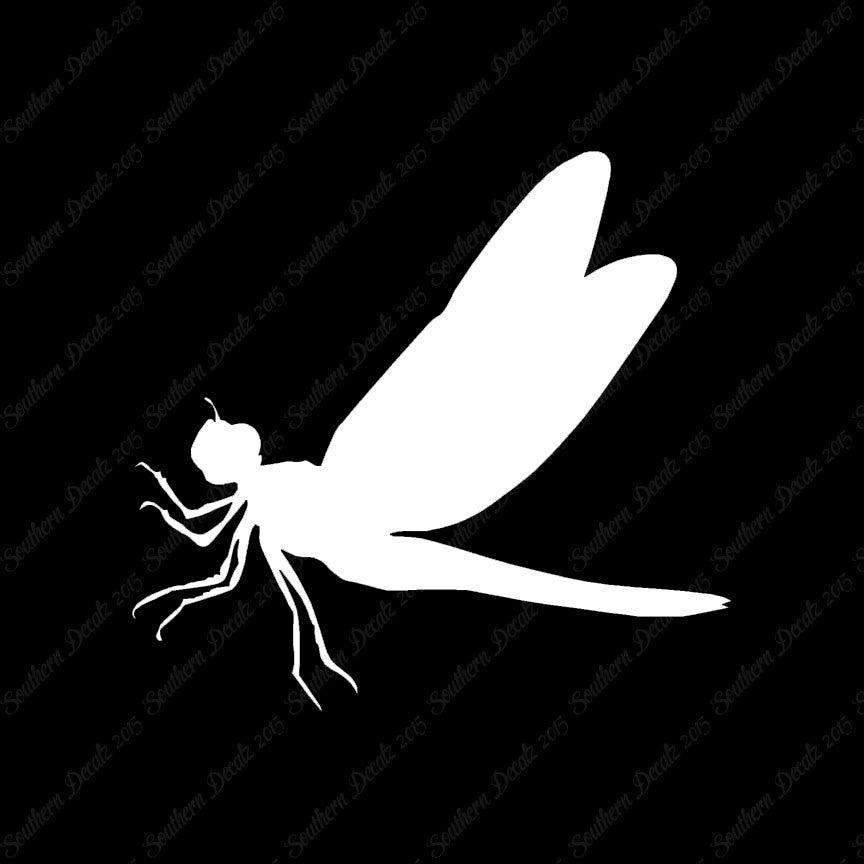 Dragonfly Damselfly