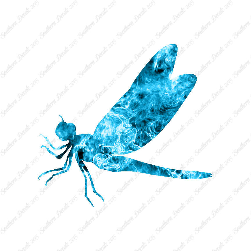 Dragonfly Damselfly