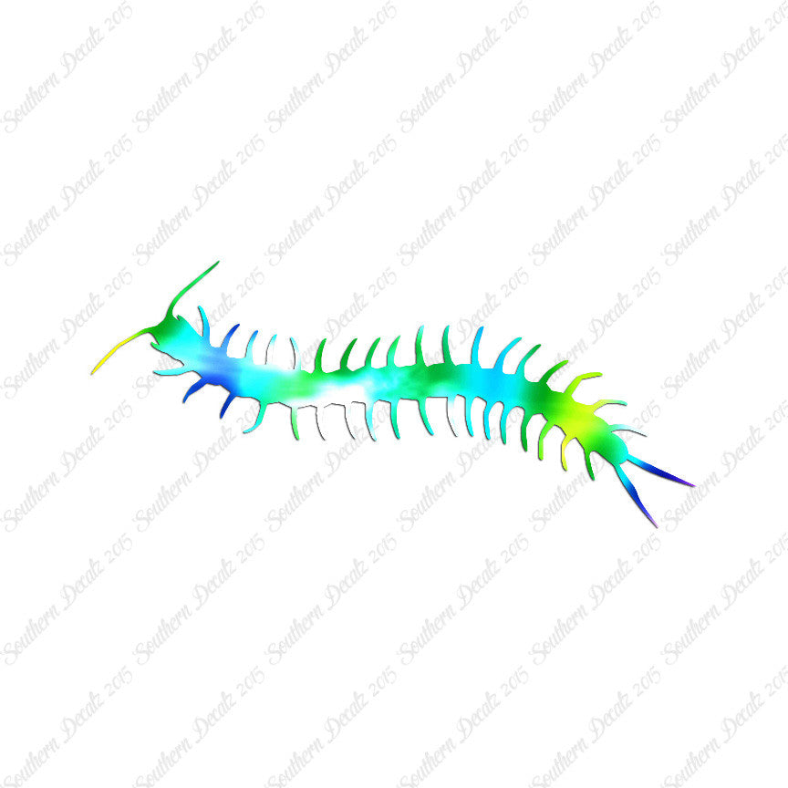 Centipede Millipede Insect