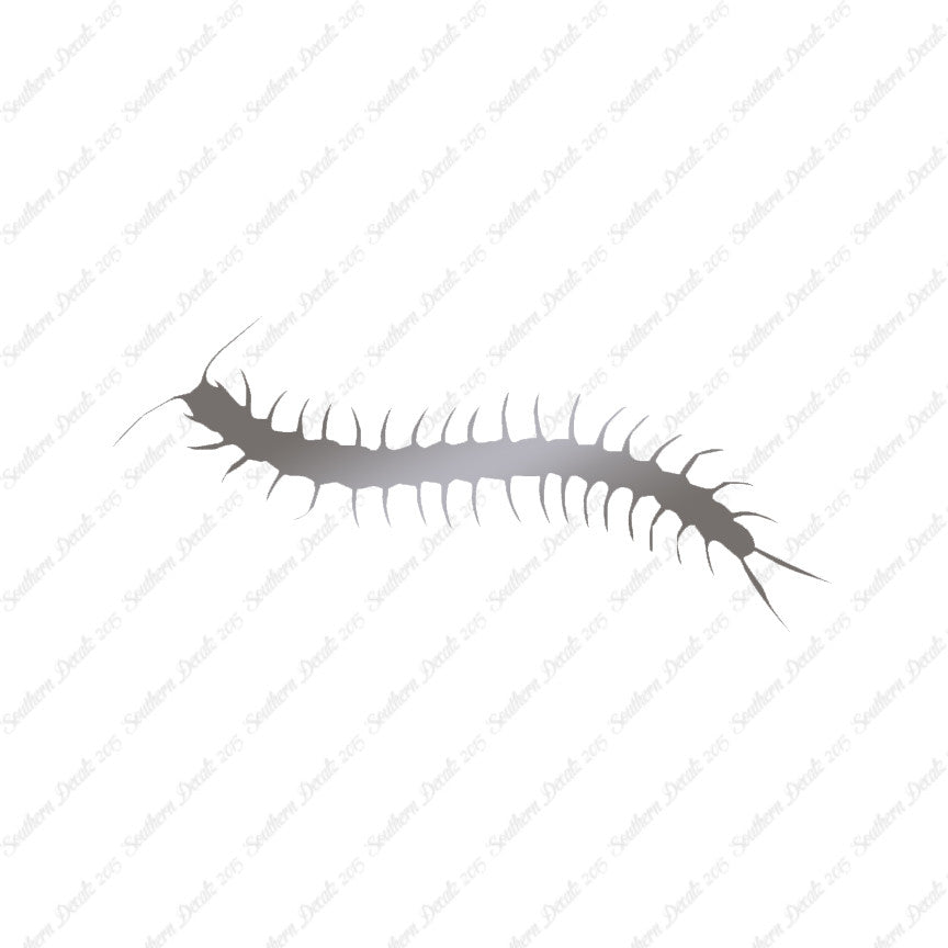 Centipede Millipede Insect