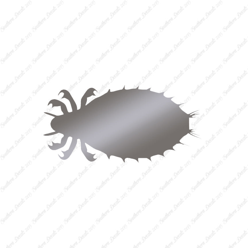 Flea Louse Bed Bug Insect