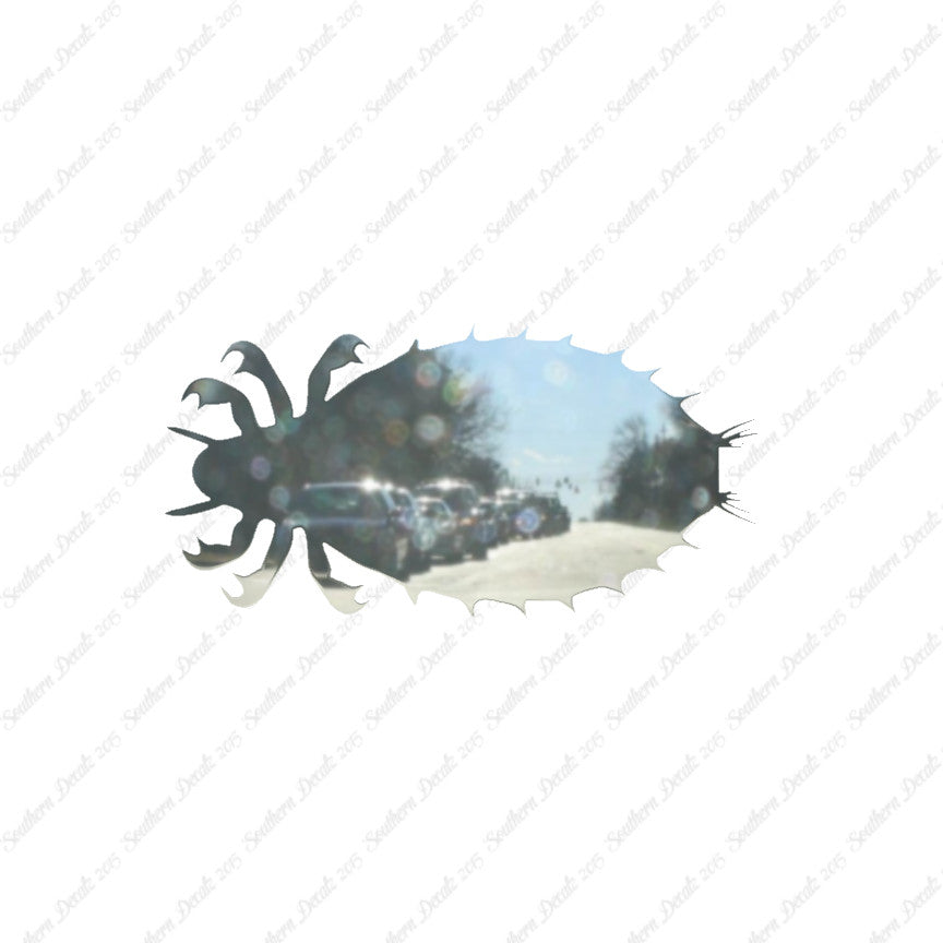 Flea Louse Bed Bug Insect