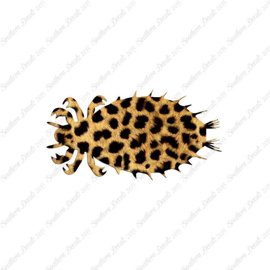Flea Louse Bed Bug Insect
