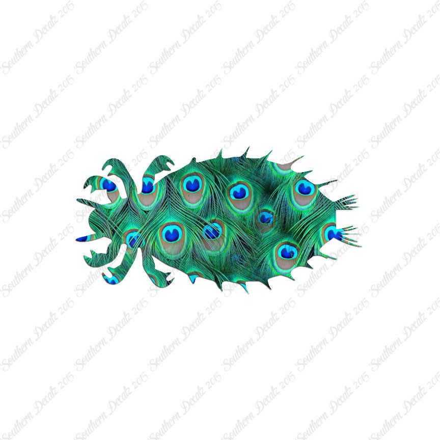 Flea Louse Bed Bug Insect