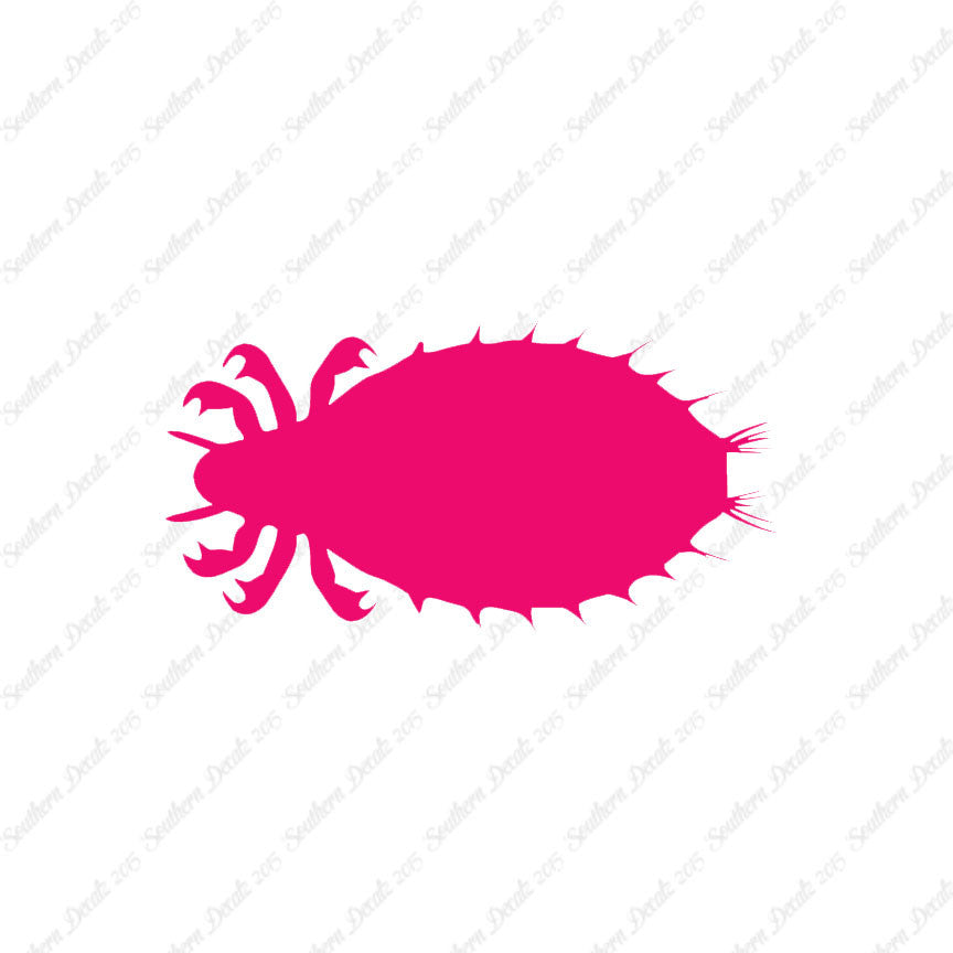 Flea Louse Bed Bug Insect