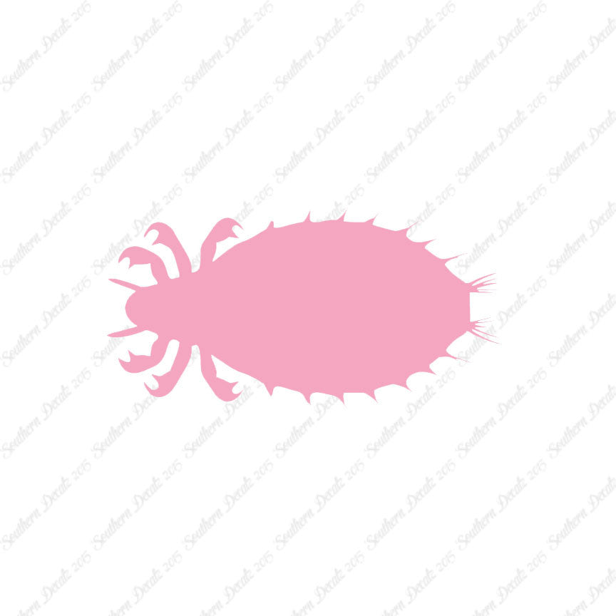 Flea Louse Bed Bug Insect