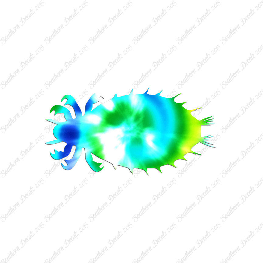 Flea Louse Bed Bug Insect