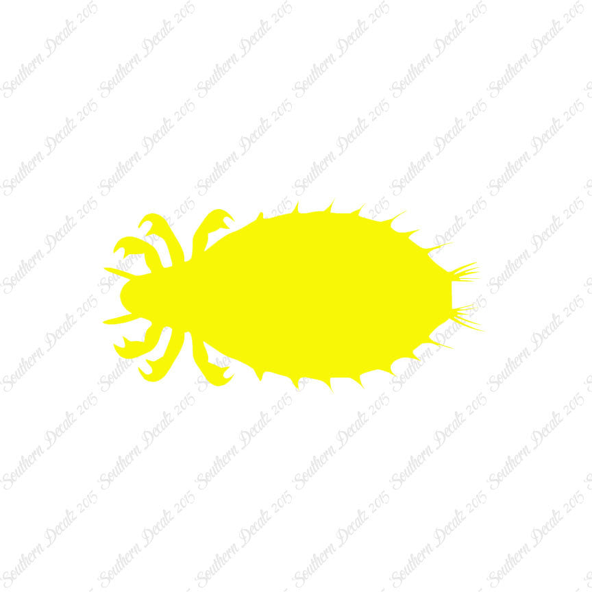 Flea Louse Bed Bug Insect