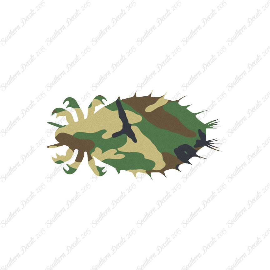 Flea Louse Bed Bug Insect