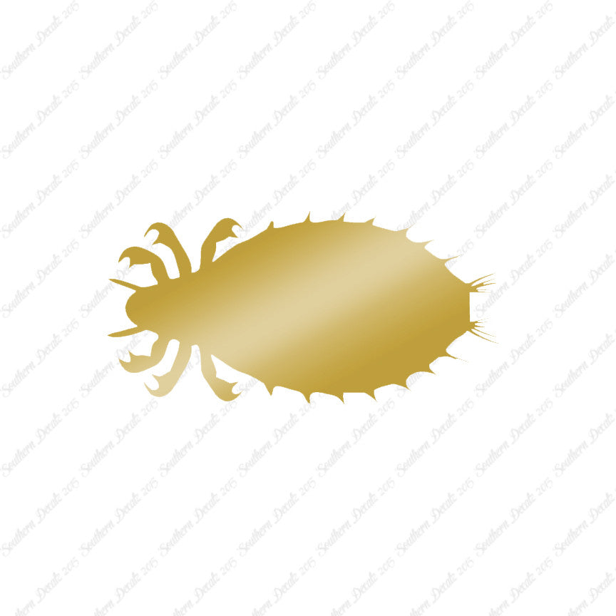 Flea Louse Bed Bug Insect