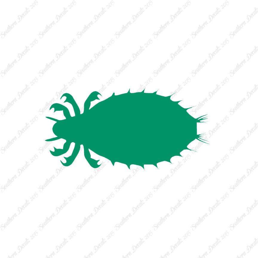Flea Louse Bed Bug Insect