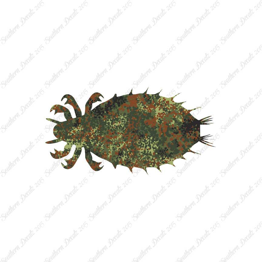 Flea Louse Bed Bug Insect