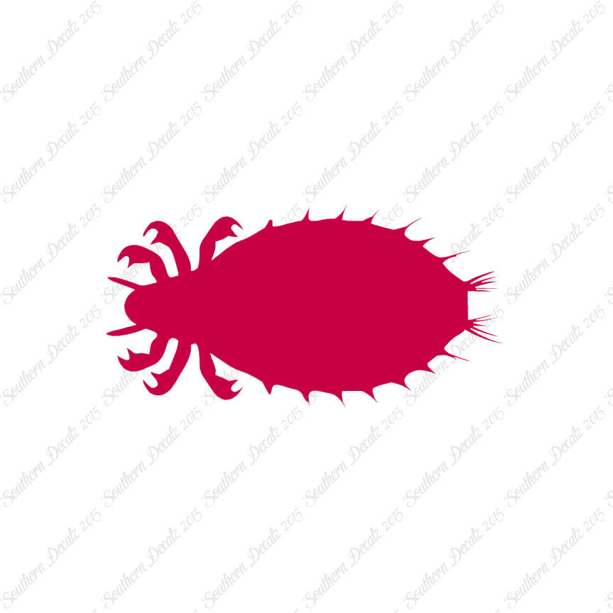 Flea Louse Bed Bug Insect
