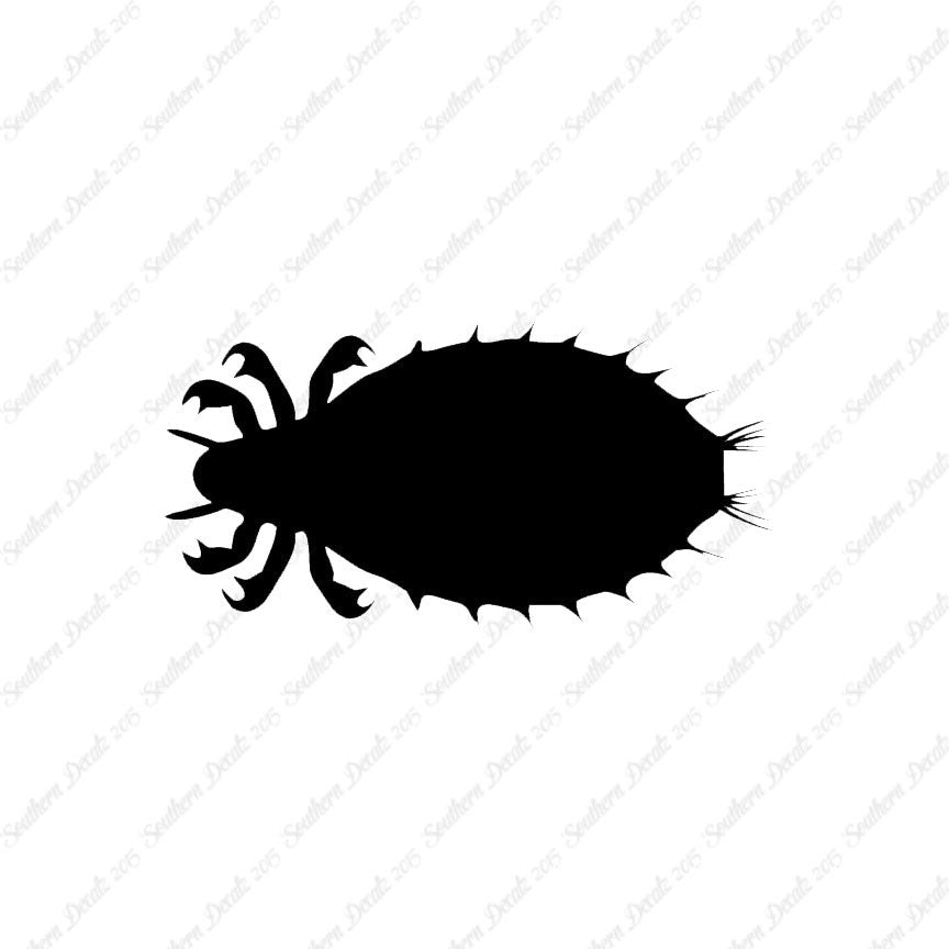 Flea Louse Bed Bug Insect