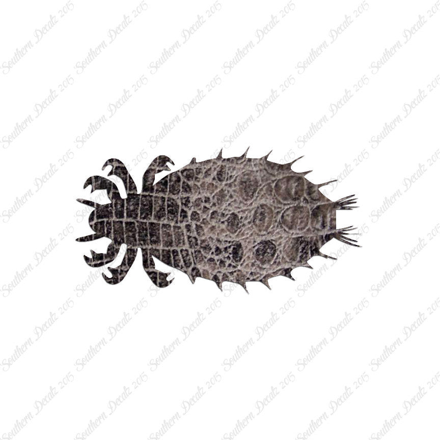 Flea Louse Bed Bug Insect