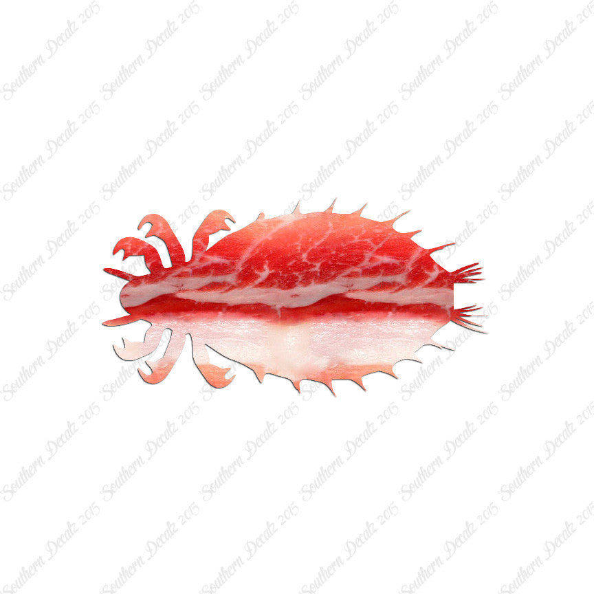 Flea Louse Bed Bug Insect