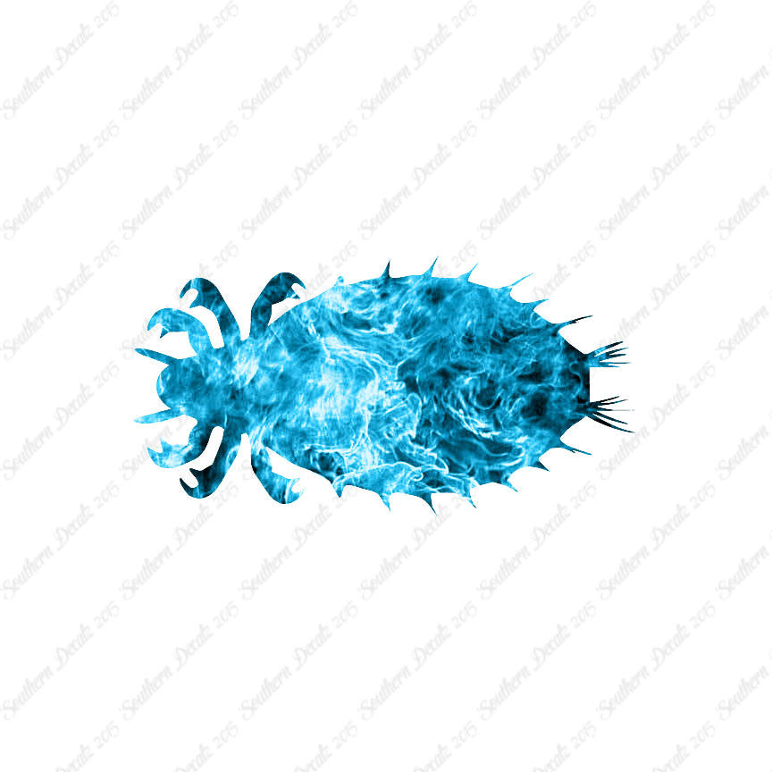 Flea Louse Bed Bug Insect