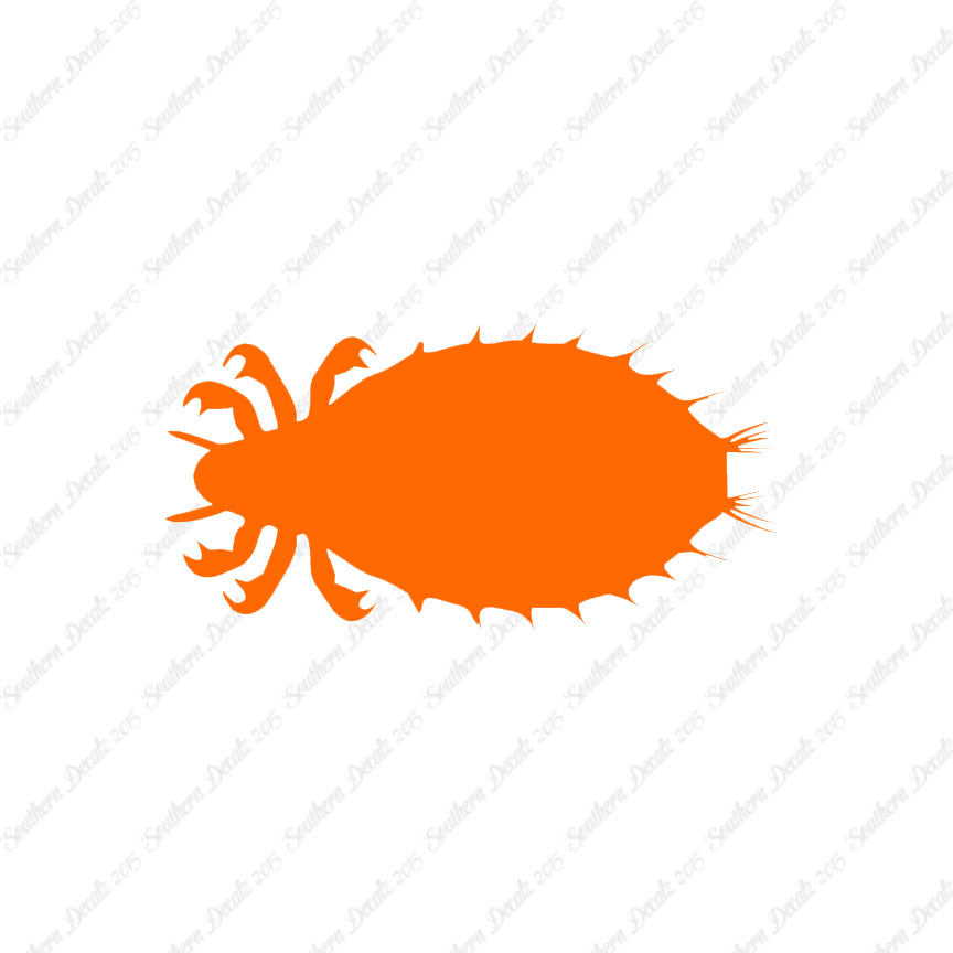 Flea Louse Bed Bug Insect