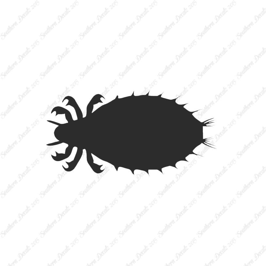 Flea Louse Bed Bug Insect