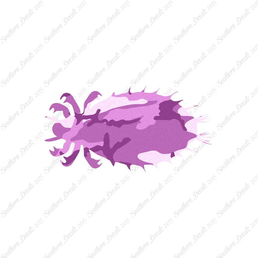 Flea Louse Bed Bug Insect