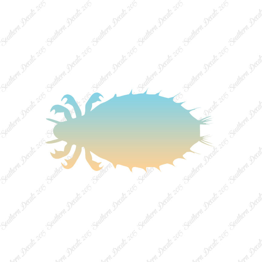 Flea Louse Bed Bug Insect
