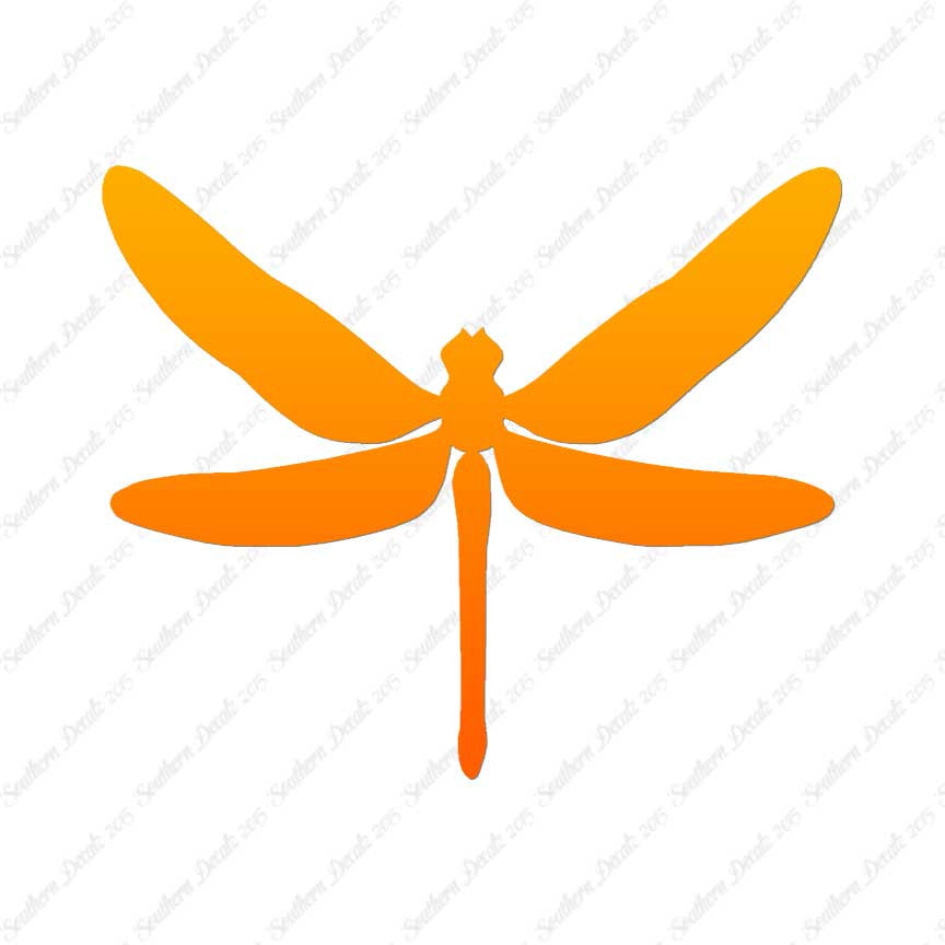 Dragonfly Insect Bug